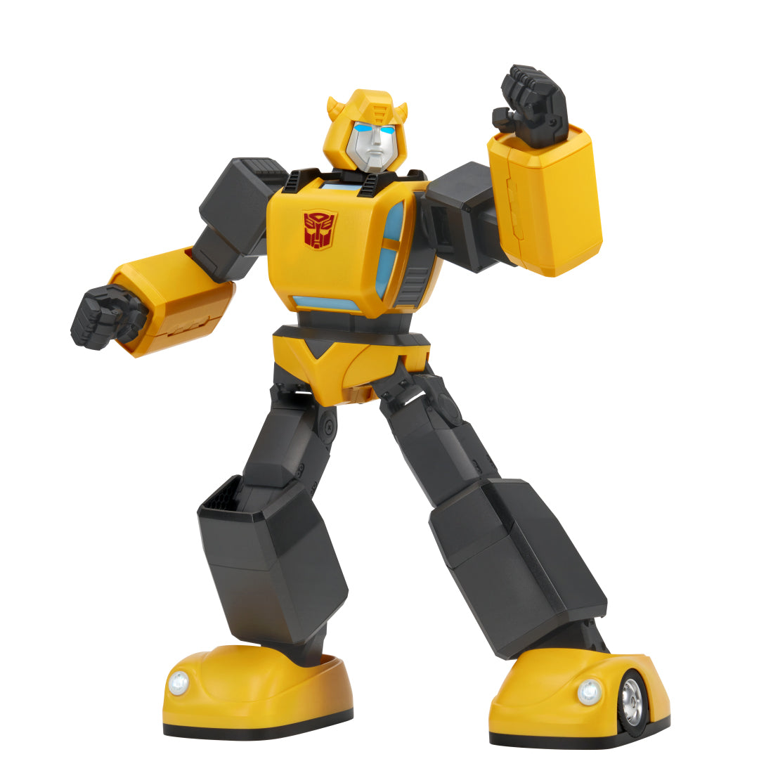 バンブルビーダブルセット